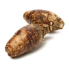 Taro on a white background
