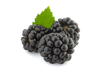 Blackberry berry closeup