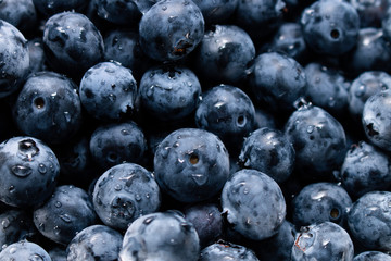 water drops on blueberries, close-up