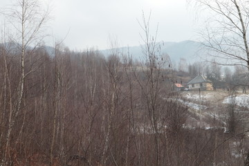 mountain track in early winter