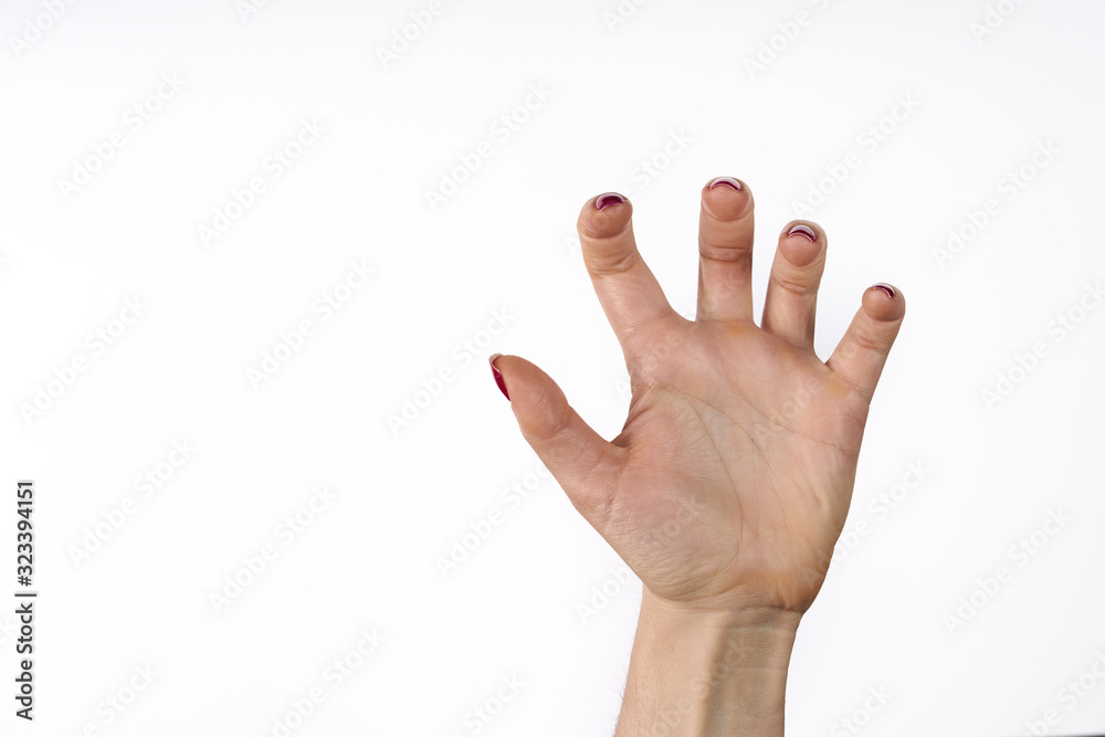 Wall mural hand of a woman trying to reach or grab something. fling, touch sign. isolated on white background