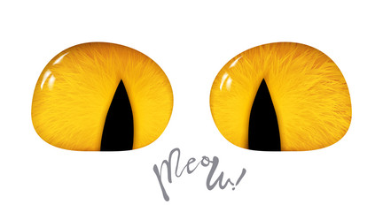Orange cartoon cat eyes, 3d isolated on white background. Vector illustration. © Nanotrillion