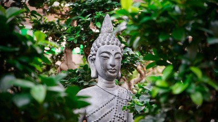 Beautiful buddha statue in bonsai forrest. Enlightenment concept.