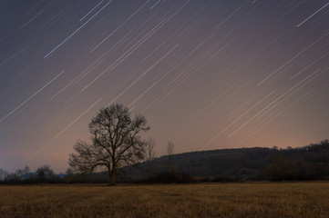 Beautiful Star Trails over filed with lonely tree. Beautiful night sky.