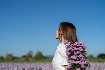 Fototapeta na wymiar Woman in white dress with white umbrella posing in purple margaret flower field.