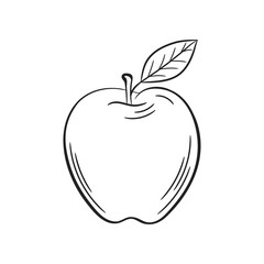 Apple sketch. Hand drawn fruit illustration.