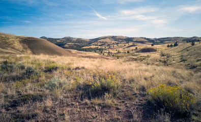 Breathtaking colorful John Day Fossil Beds Painted Hills with red green black orange and yellow stripes in a semi desert landscape in Oregon