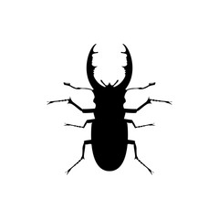 beetle bug
