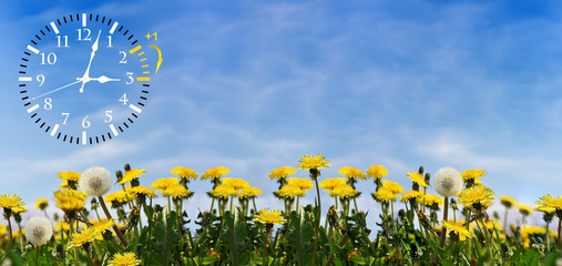 Summer Daylight Saving Time (DST). Blue sky with yellow dandelions. Turn time forward (+1h).