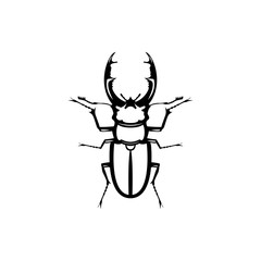 beetle bug