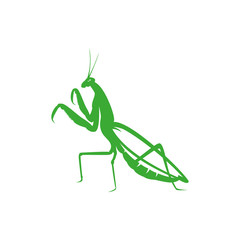 mantis bug