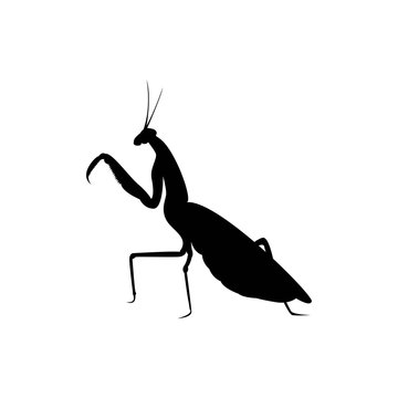 black praying mantis silhouette on white clip art preview