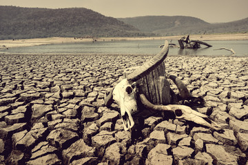 cracked earth from arid drought weather in dam or river, hot summer nature and warming climate...