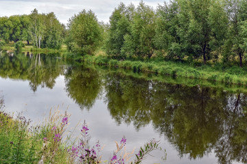 View of the river with a smooth flow on a summer day