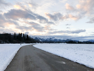 Winter Road