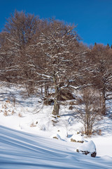 Big Fatra mountains, Slovakia, snowy landscape