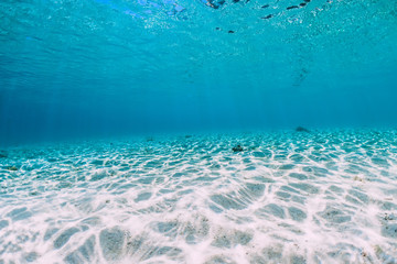 Turquoise ocean water with sandy bottom underwater.