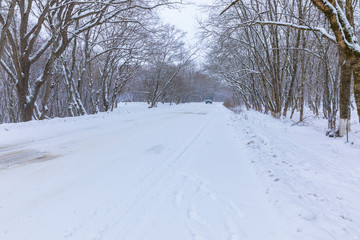 Obraz premium A car driving along a snowy road through a forest