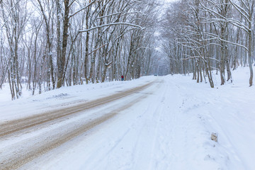 A car driving along a snowy road through a forest