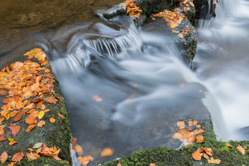 Waterfall in autmn surrounded by golden leaves and flowing water