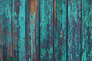 Fototapeta na wymiar Old worn wooden planks with worn, cracked paint of a turquoise-green color with rust. Beautiful wooden aged background.