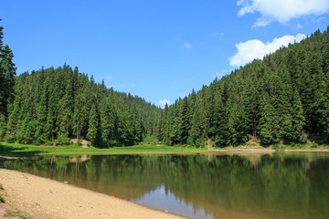 Forest mountain lakes in the mountains in summer