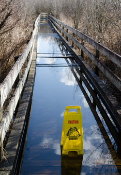Flooded bridge on Heron Loop in Marymoor
