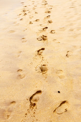 Fototapeta na wymiar track footprints in the sand by sea horizontal frame