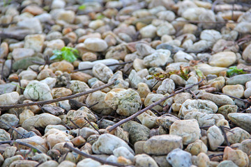 Stones