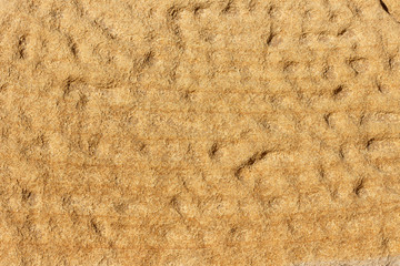 The surface of the cliff of yellow and brown sandstone on the seashore, weathered and faded in the sun.