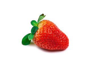 Strawberry. Fresh berries macro.