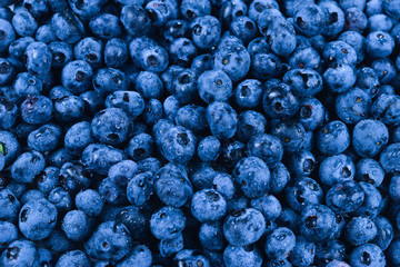 Fresh blueberry background. Texture blueberry berries close up.