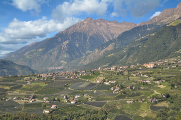 Fototapeta na wymiar Blick von Schenna nach Dorf Tirol,Trentino,Südtirol,Italien