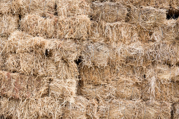 Pressed hay briquettes under the shed.