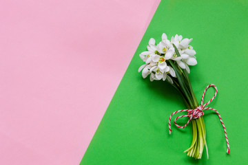 Fresh beautiful bouquet of the first spring forest snowdrops  flowers with red and white cord martisor - traditional symbol of the first spring day on pink pastel and green paper background
