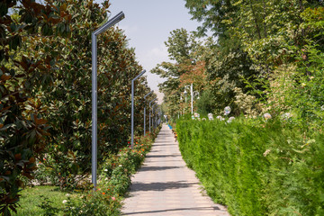 Rudaki Park on a sunny day in Dushanbe, Tajikistan