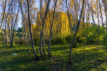 Barranc de l'Encantada