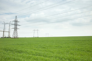 Agricultural landscape on a sunny day.