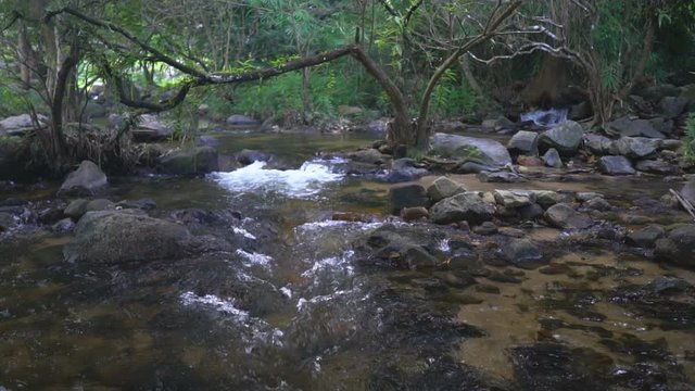 stream waterfall and creek clear water with rock or stone and tree in green jungle garden or forest with camping on holiday relax and vacation travel trekking and picnic at Khlong Nam Lai Waterfall