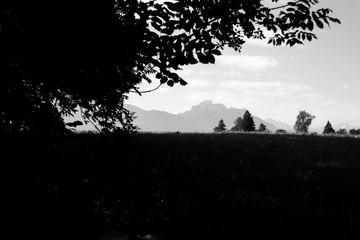 Blätter Berglandschaft Berge Baum