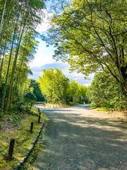 万博記念公園　歩道