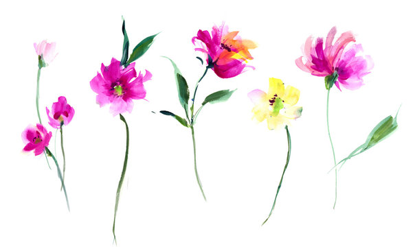Flowers watercolor illustration.Manual composition.Big Set watercolor elements.
