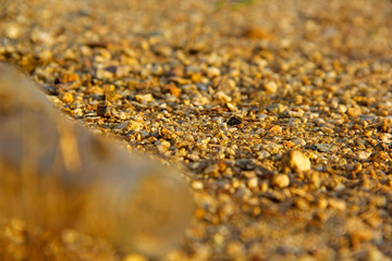 Bottles on sand