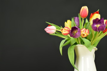 Springtime - Beginning of the year - Tulips on colored background