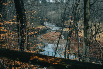 A Colorful River in the Late Fall