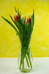 selective focus, yellow-red tulips for women's holiday