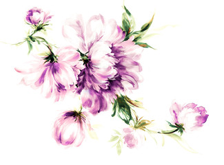 Flowers watercolor illustration.Manual composition.Big Set watercolor elements. - 323425509