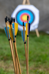 Colorful medieval arrows and a bulls eye rose in a distance.