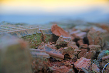 Rocks