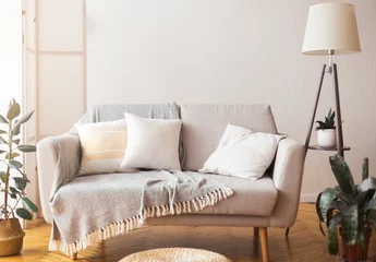 Foto op Plexiglas Cozy home interior sofa and cushions and floor lamp © Prostock-studio